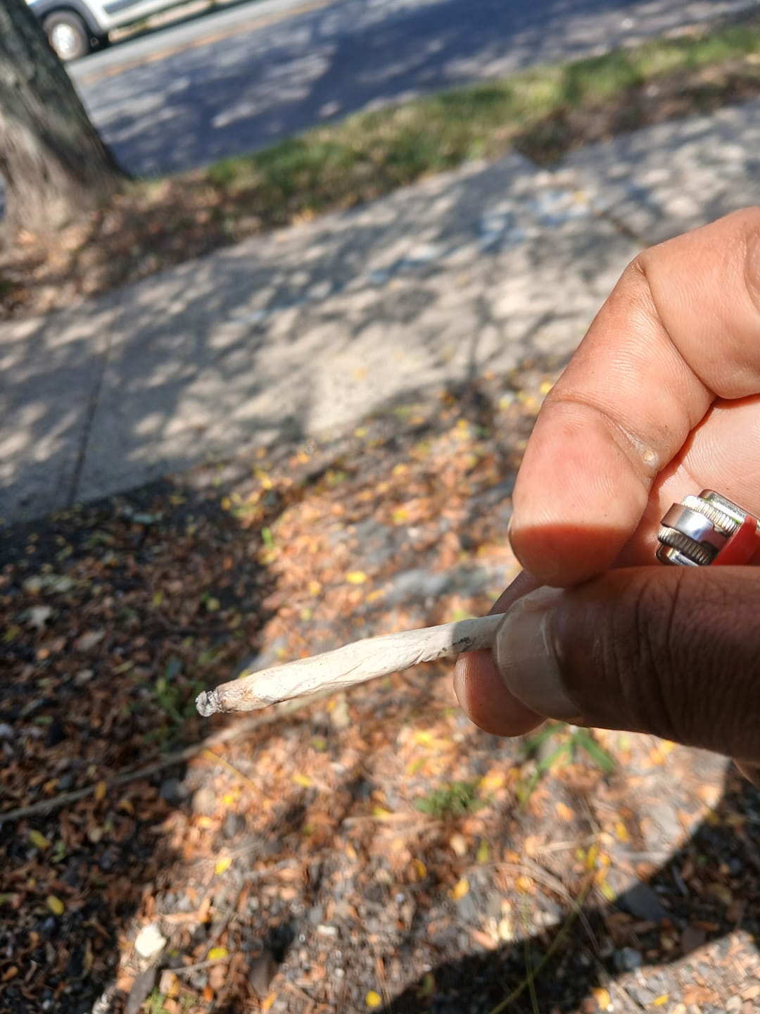 Customer photo review of Cheap THCA Smalls Quarter Pound