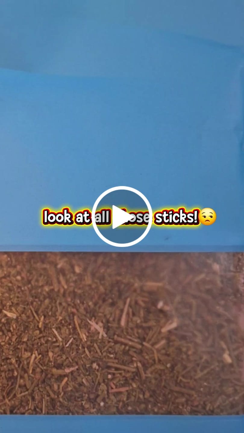 Customer video review of Shake 28G Bundle