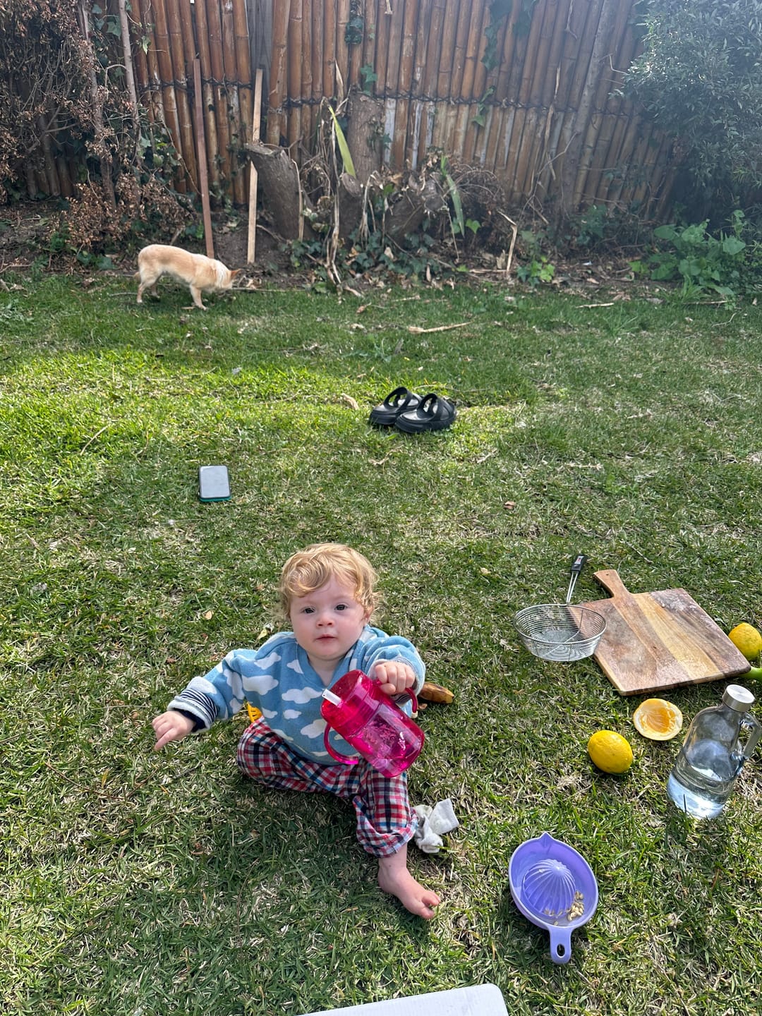 Customer photo review of THE SIPPY CUP - PALM + LOTUS TWIN PACK
