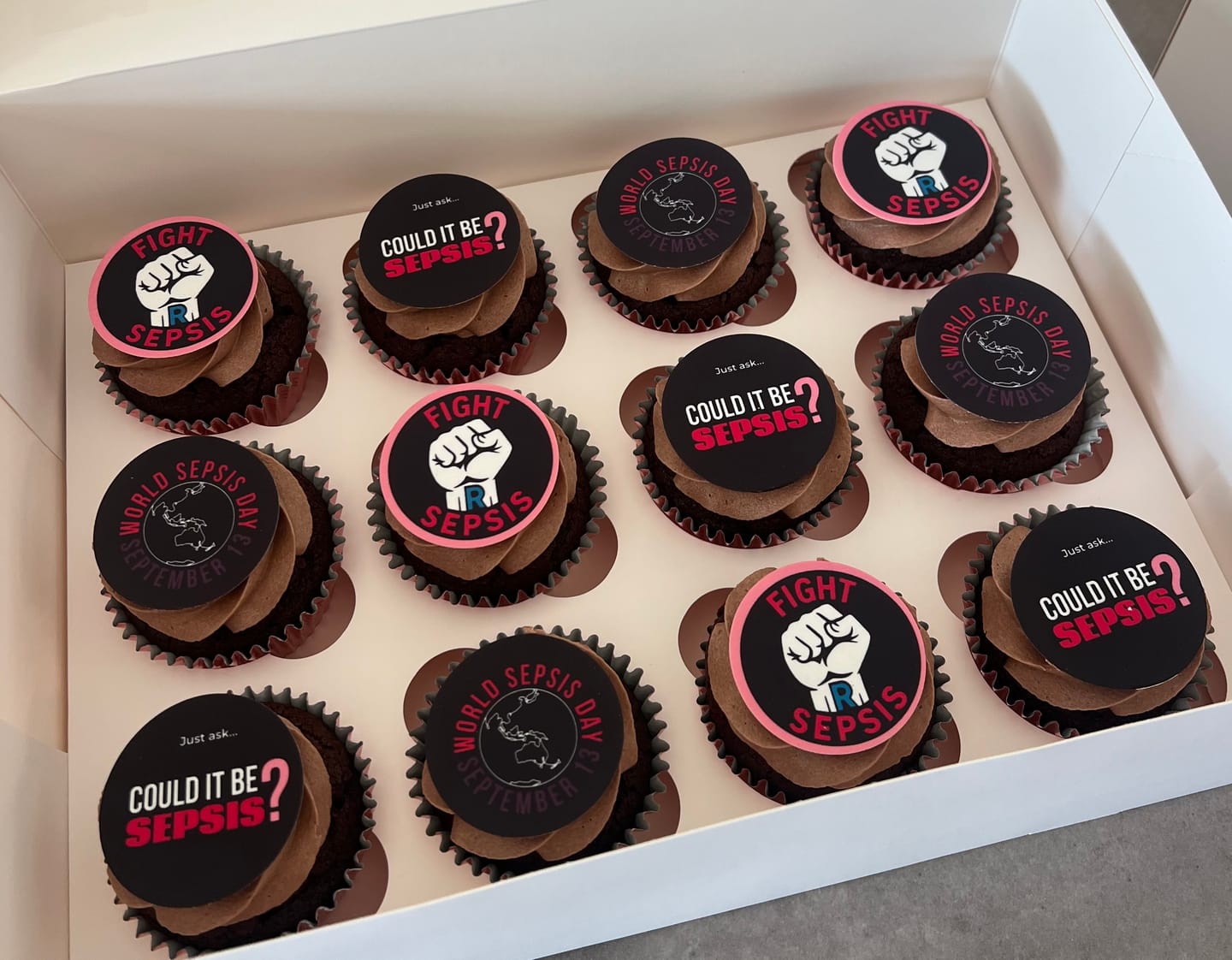 Customer photo review of 15 x 5 cm Pre-cut Standard Cupcake Custom Edible Icing Images
