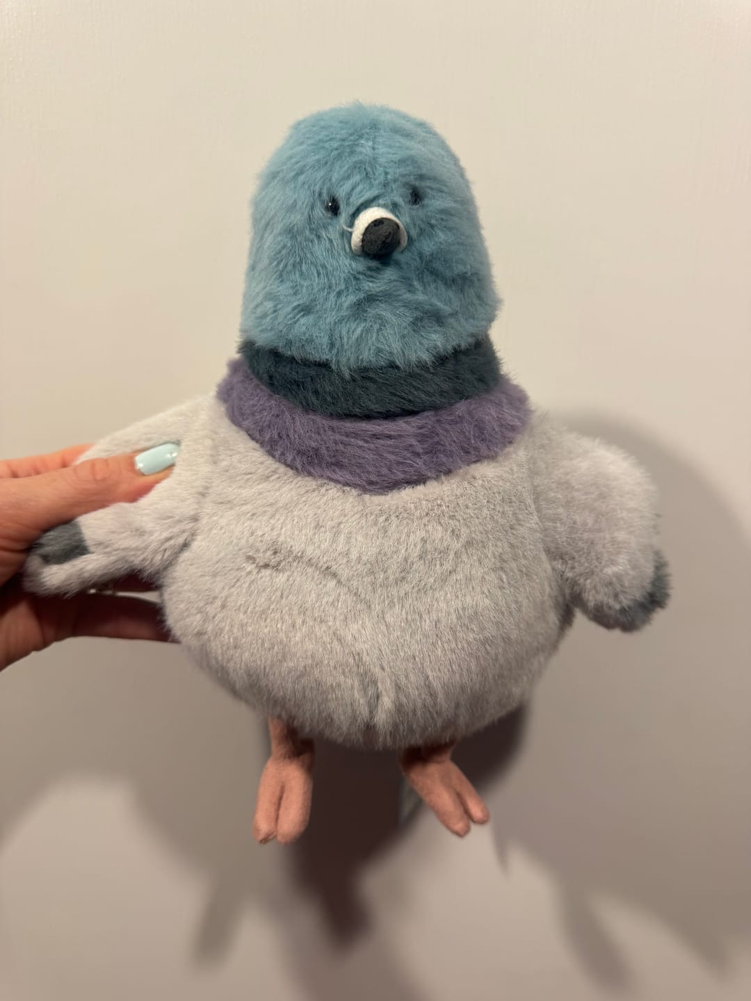 Customer photo review of Strutton Pigeon