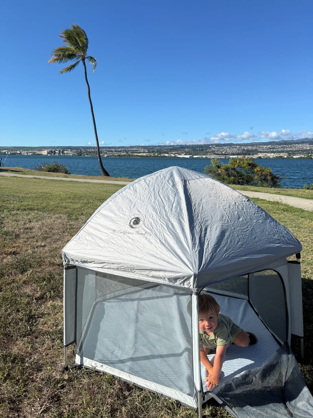 Customer photo review of Pop 'N Go® Playpen