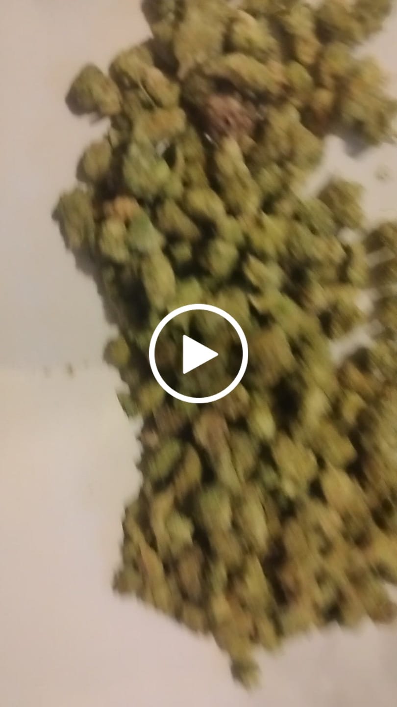 Customer video review of 1 Oz Cheap THCA Small Buds