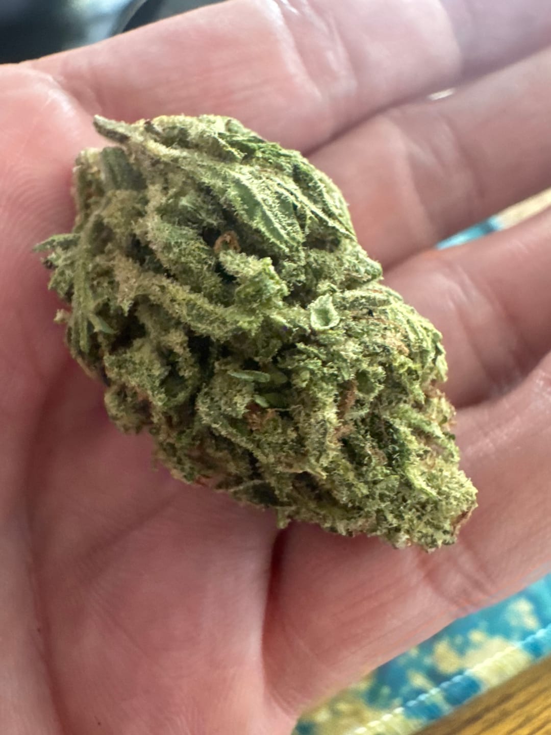 Customer photo review of Blueberry Cough - 28 Grams - Sativa