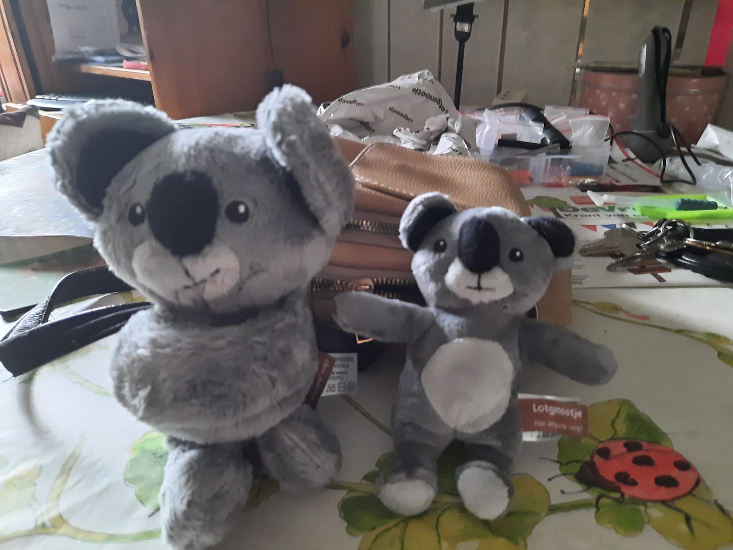 Customer photo review of Mini Lotgenootje Koala