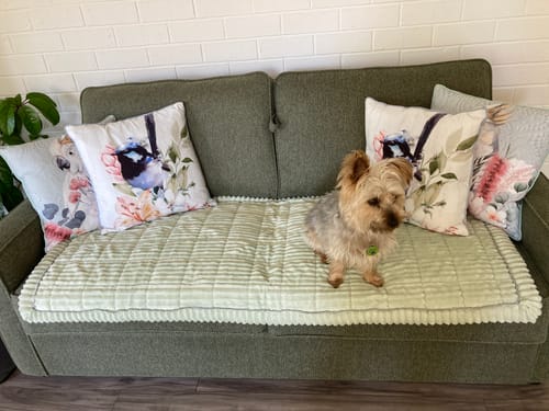 Customer photo review of Cosy Couch - Couch Cover