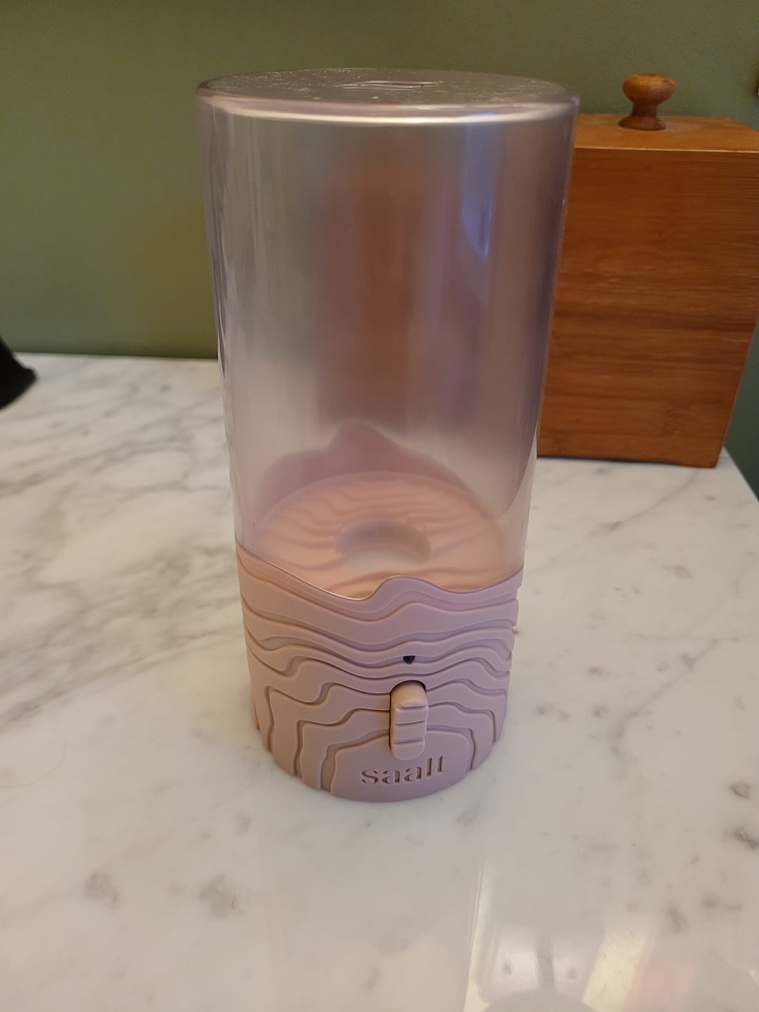Customer photo review of Saalt Steamer