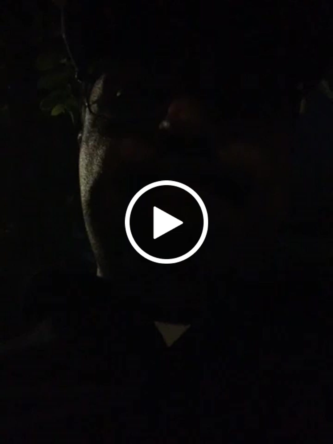 Customer video review of ($10) QUICK ENTRY
