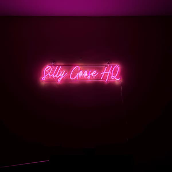 Customer photo review of Custom Neon: Silly Goose HQ