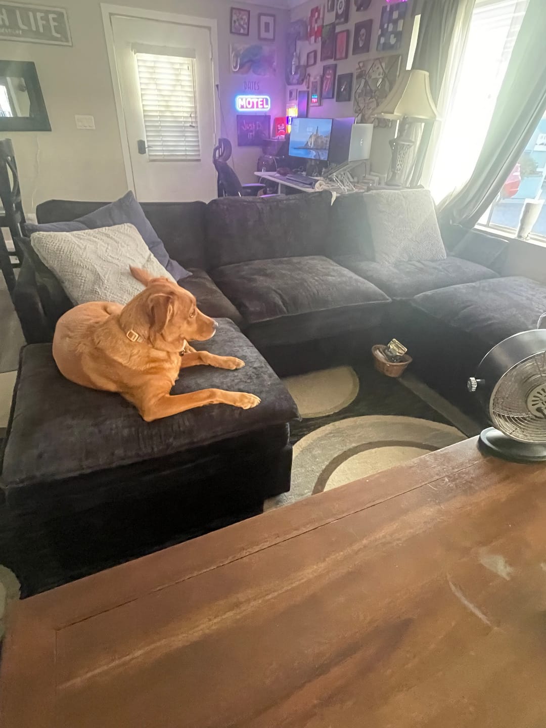 Customer photo review of Storage Cloudy Luxury Modular Sofa