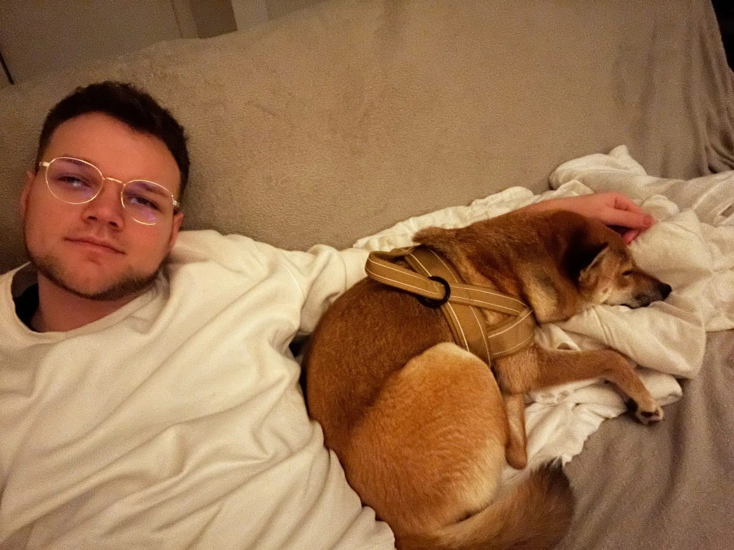 Customer photo review of Harnais anti-traction pour chien - KANINE