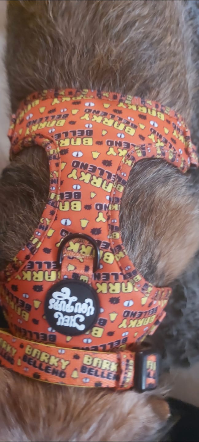 Customer photo review of Barky Bell*nd harness