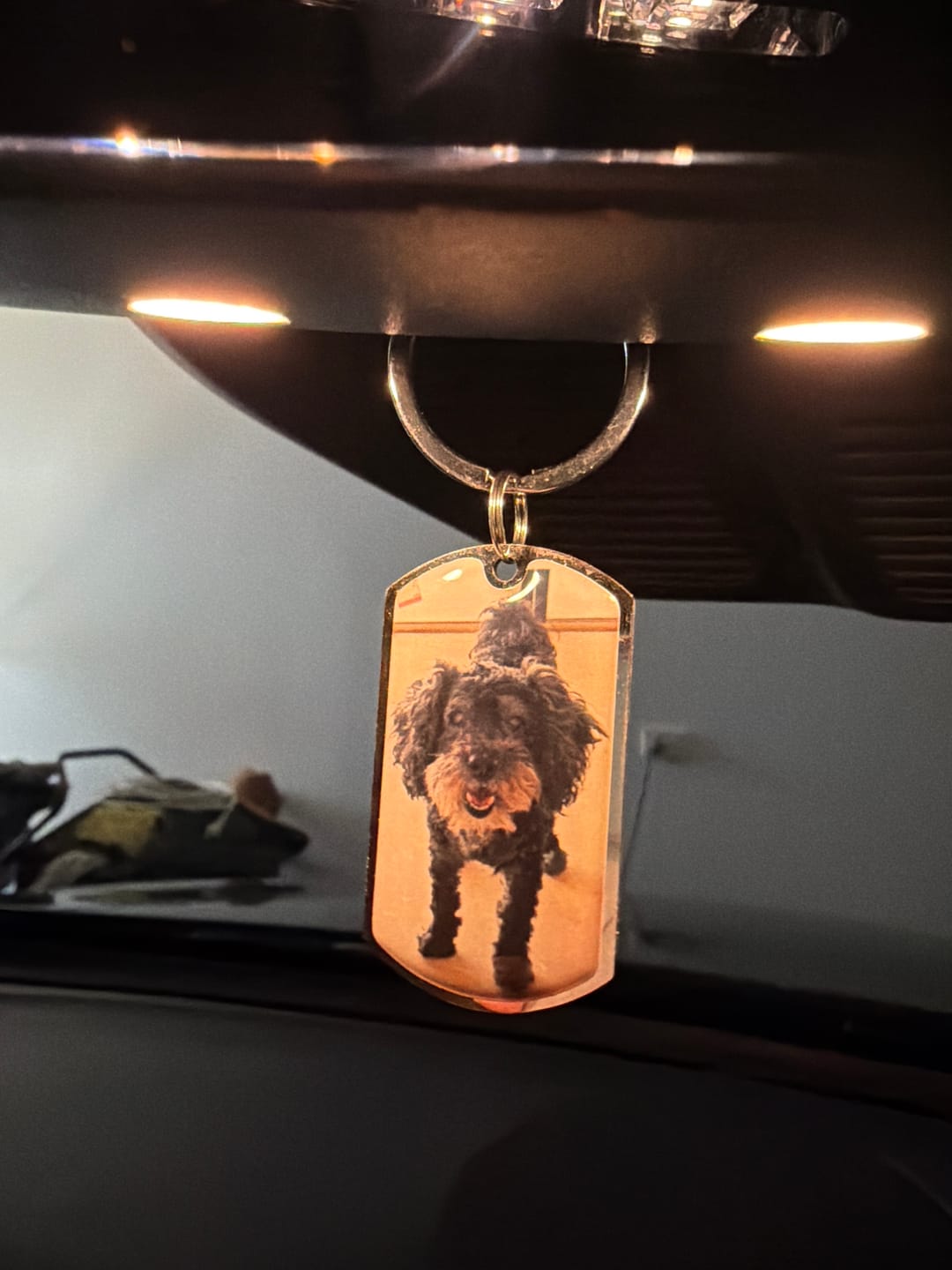 Customer photo review of Personalized Pet Keychain
