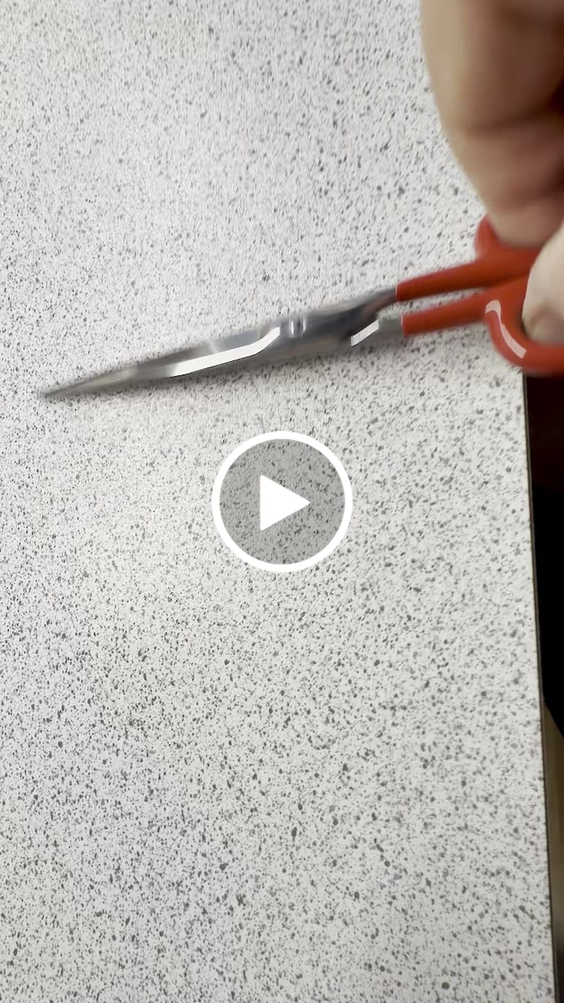 Customer video review of Hightide Penco Rustfri Saks Large, Red