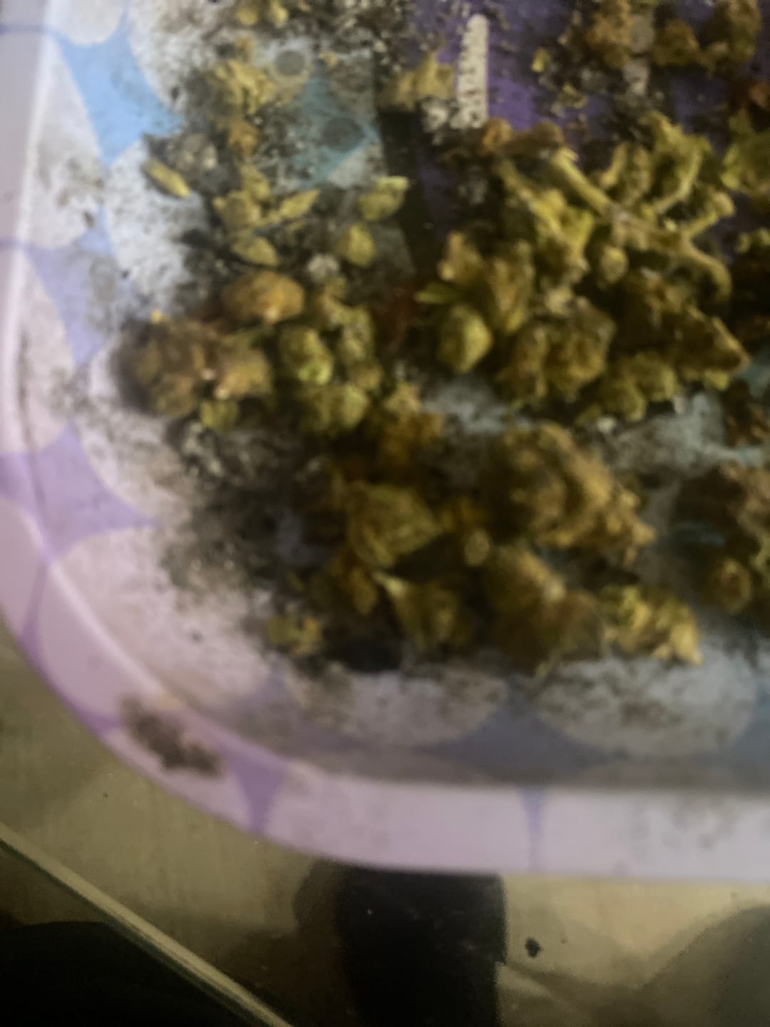 Customer photo review of KIND - Pink Runtz Indoor - Micro - 28 Grams - Hybrid