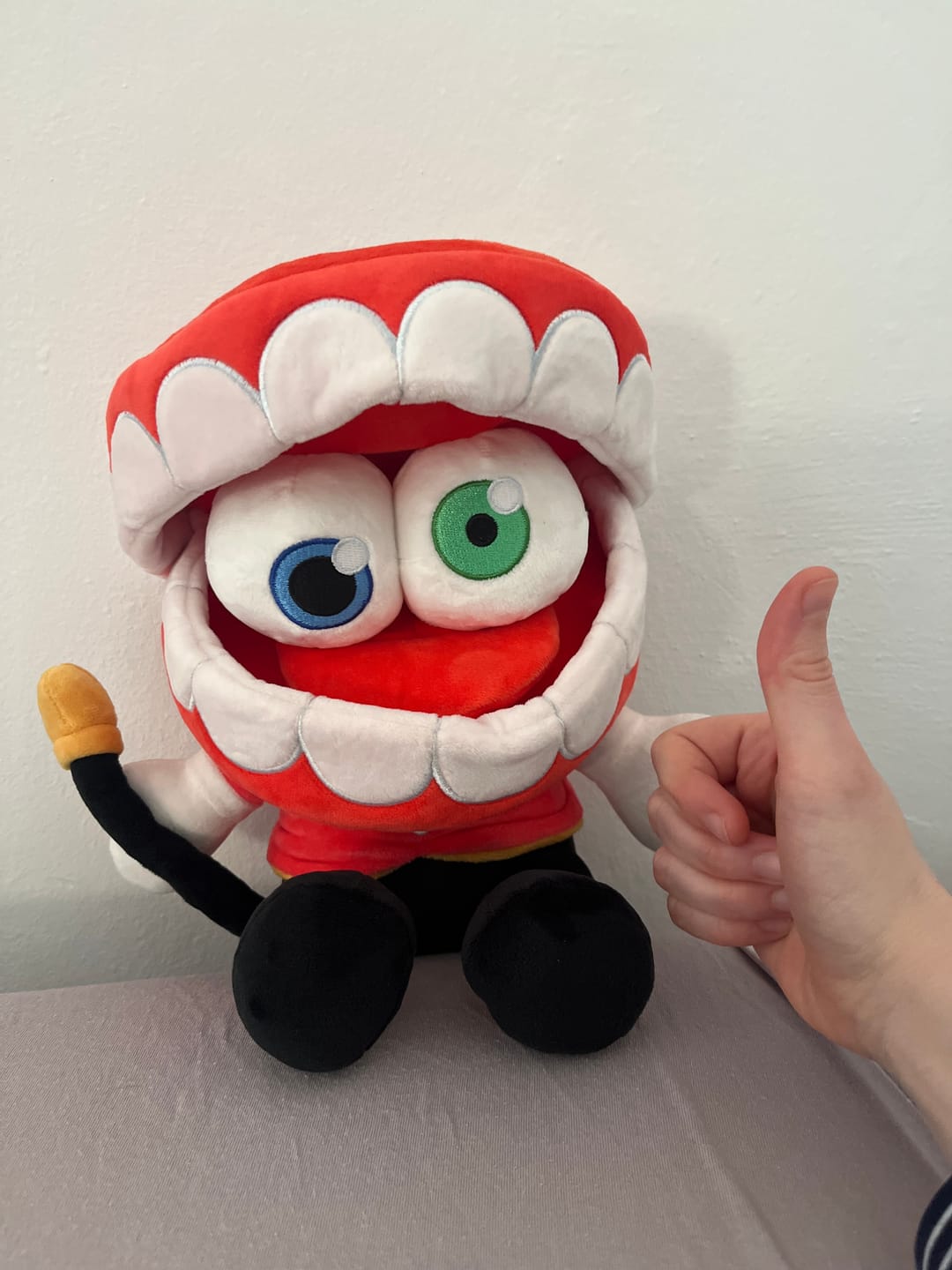 Customer photo review of Caine Plush