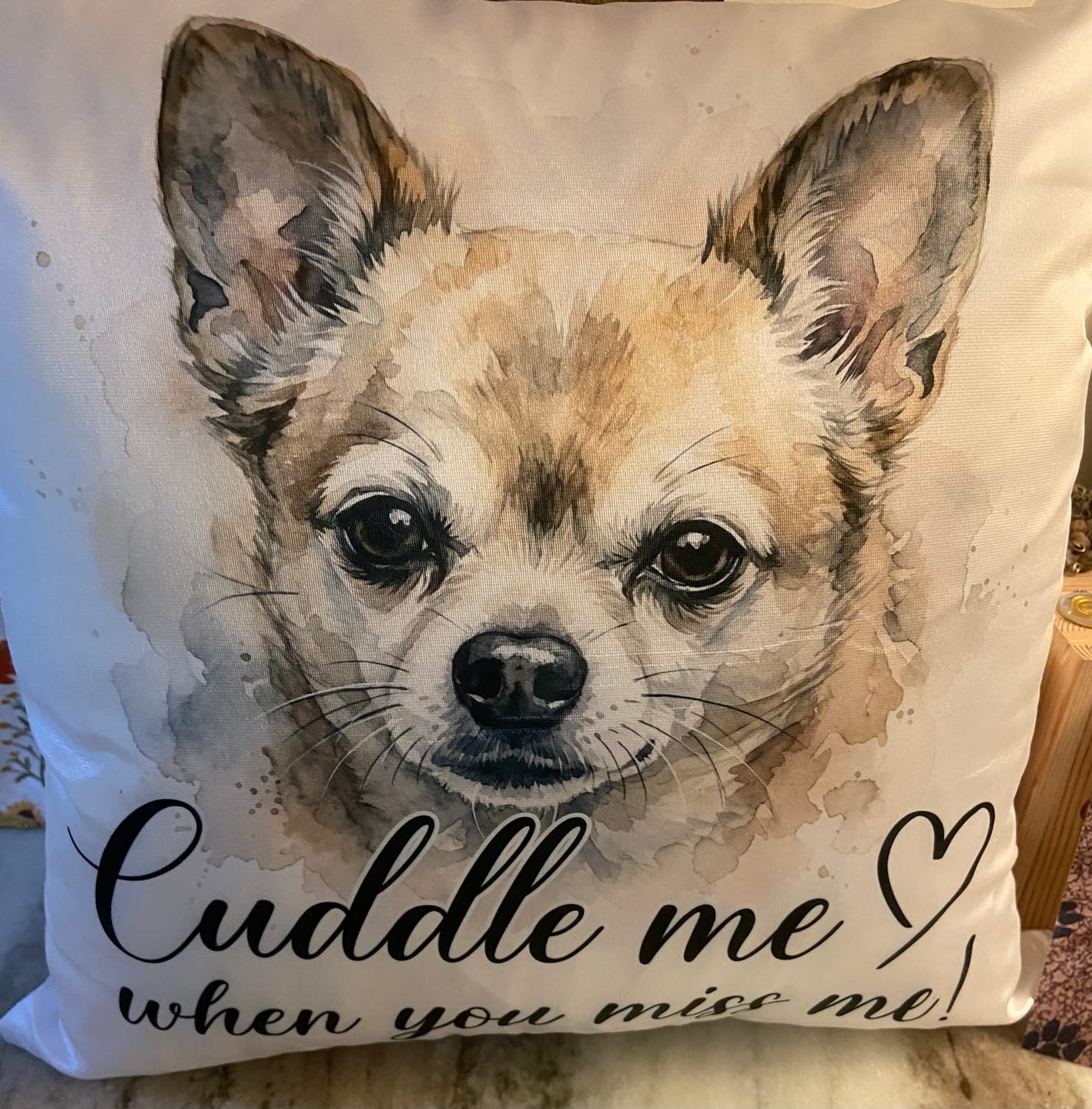 Customer photo review of Custom Pet Watercolor Pillow "Cuddle me" from Your Photo – 16" x 16"