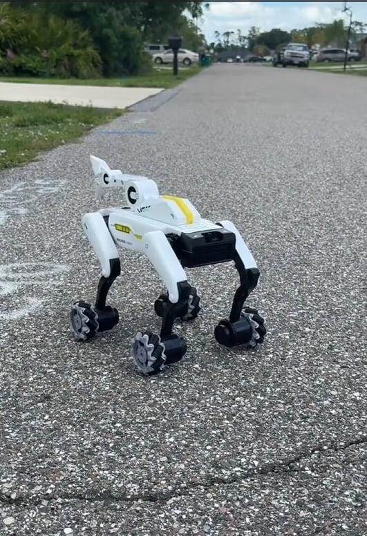 Customer photo review of 3-in-1 Interactive Robot Dog with Voice Control, Remote & Programmable Tricks
