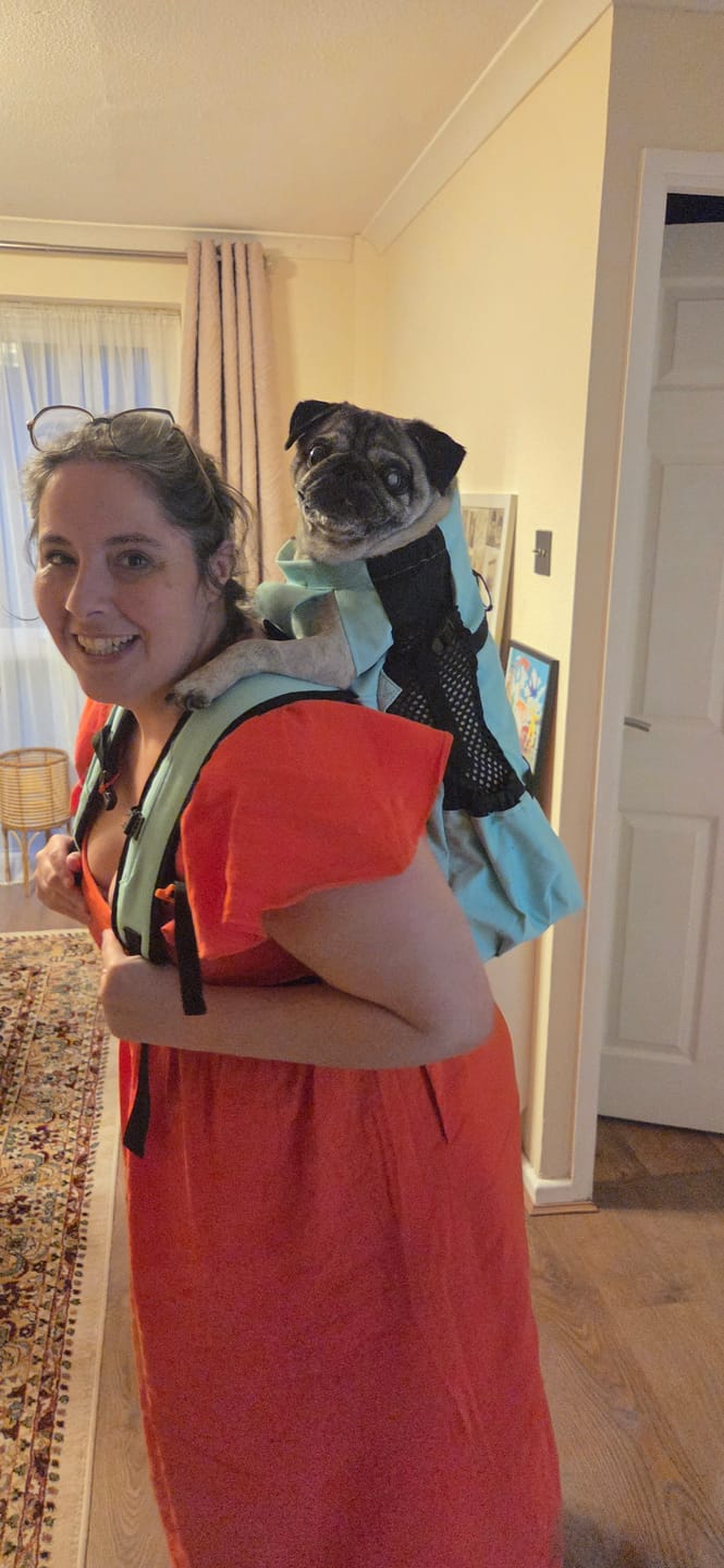 Customer photo review of K9 Sport Sack Air 2