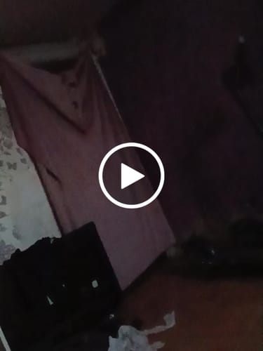Customer video review of THC-A  50% Hash Dry Sift