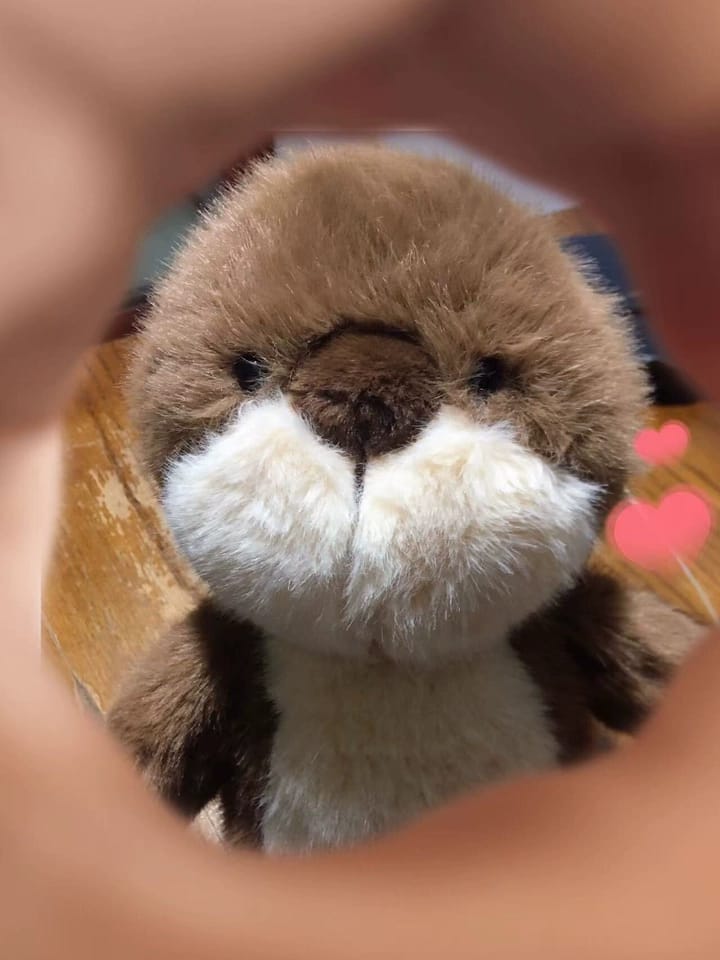 Customer photo review of Obi Otter