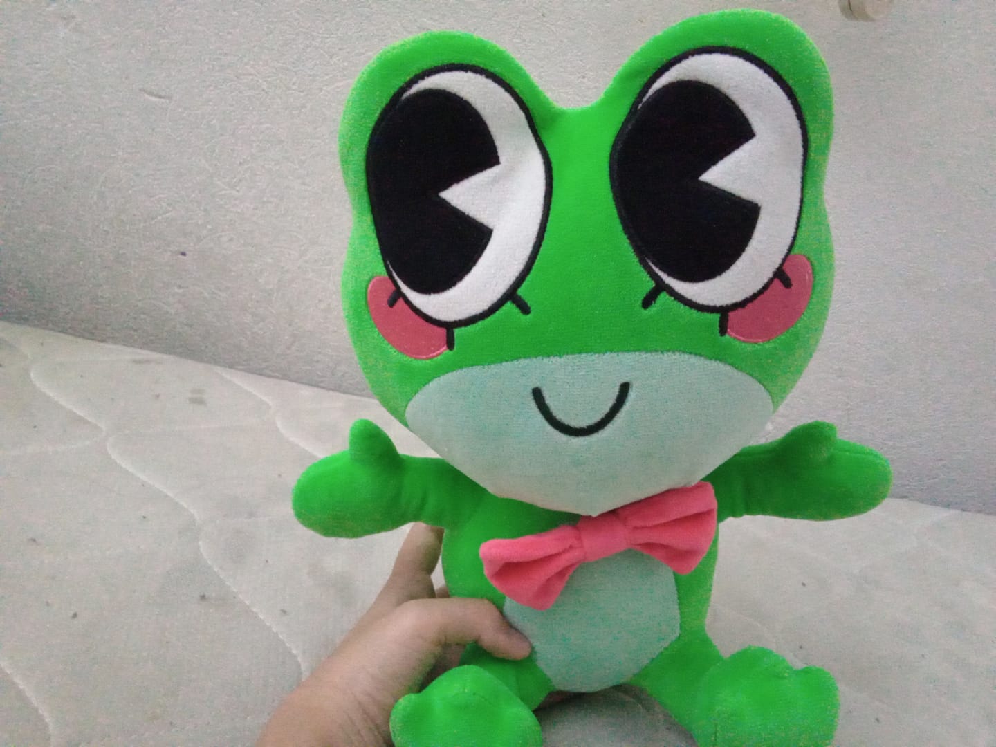 Customer photo review of Ribbit Plush