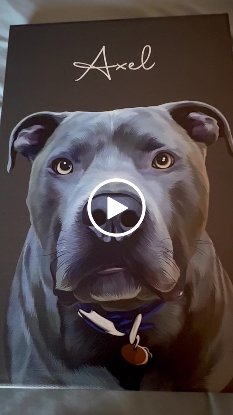 Customer video review of Pet Art Canvas Wrap