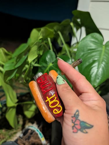 Reviewer holding a 24K Hybrid Infused Top Shelf Pre Roll near a plant, next to an eat me novelty toy.