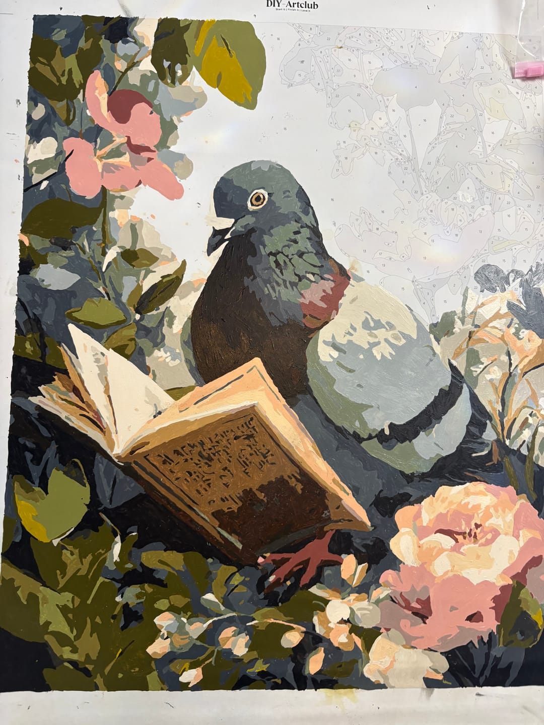 Customer photo review of Reading Pigeon | Paint by Number
