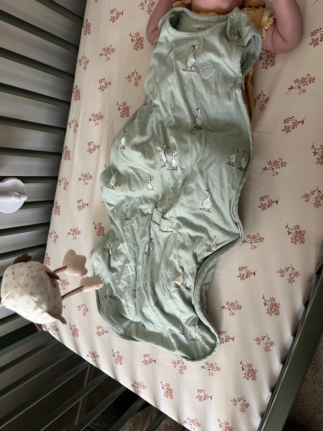 Customer photo review of Ecolino® Adjustable Baby Sleep Bag, Organic Cotton, Universal Size: 2 Months - 2 Years, Goose