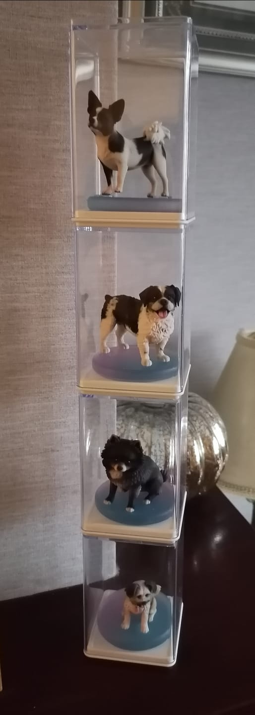 Customer photo review of Dust-Proof Acrylic Display Case