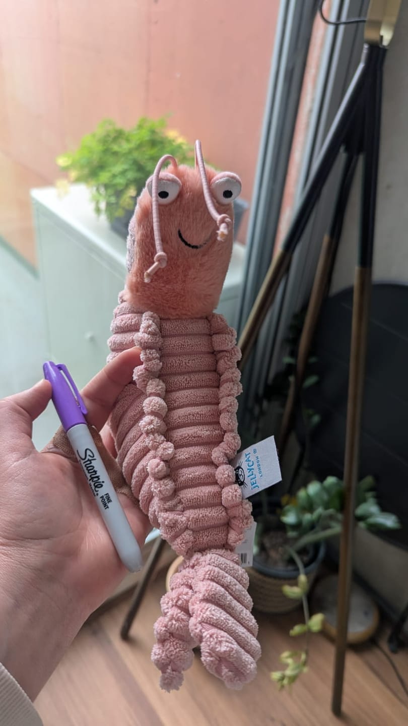 Customer photo review of Sheldon Shrimp