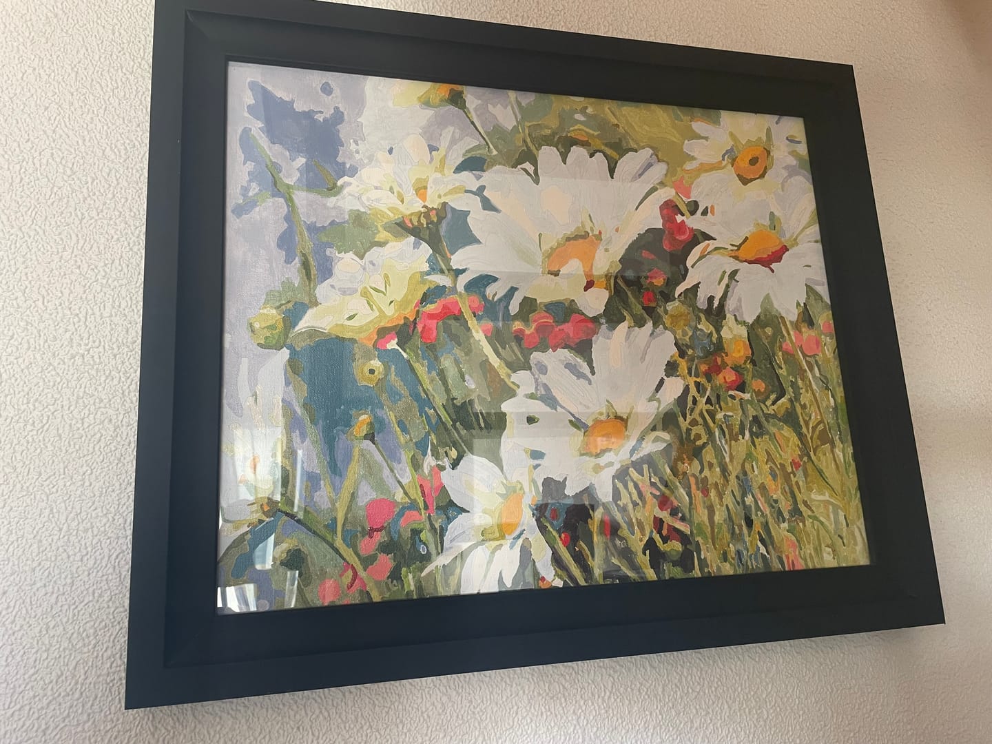 Customer photo review of Champ de Marguerites
