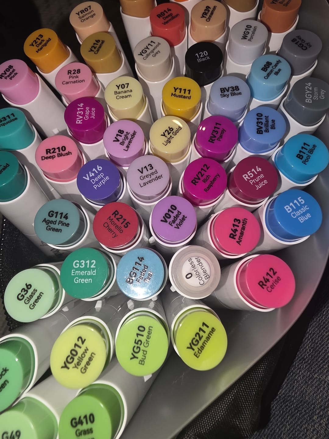 Customer photo review of Ohuhu Honolulu 48 Colors Dual Tips Alcohol Art Markers (New Color Codes)
