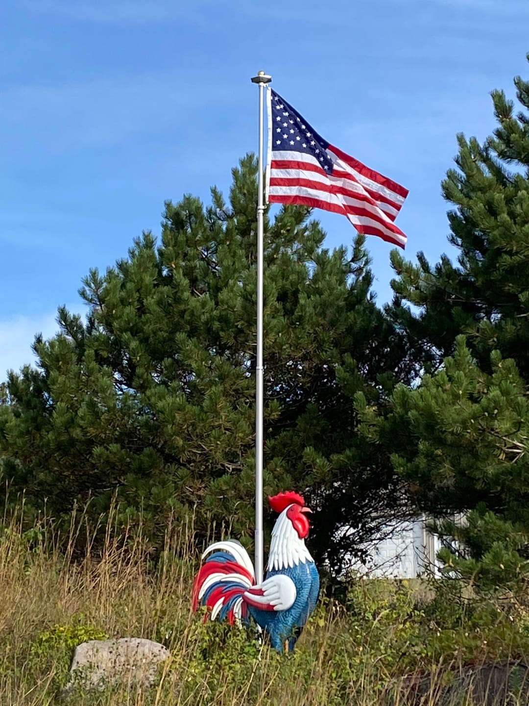 Customer photo review of Ultimate Telescoping Flagpole Kit