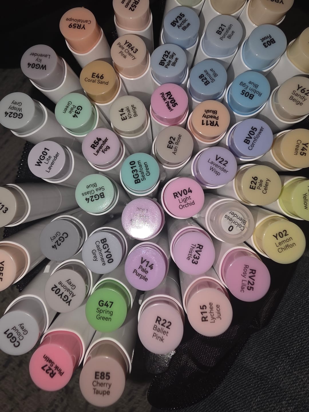 Customer photo review of Ohuhu Honolulu 48 Pastel Colors Dual Tips Alcohol Art Markers-Sweetness (New Color Codes)