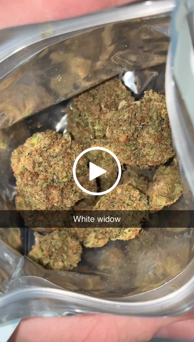 Customer video review of White Widow THCA Flower