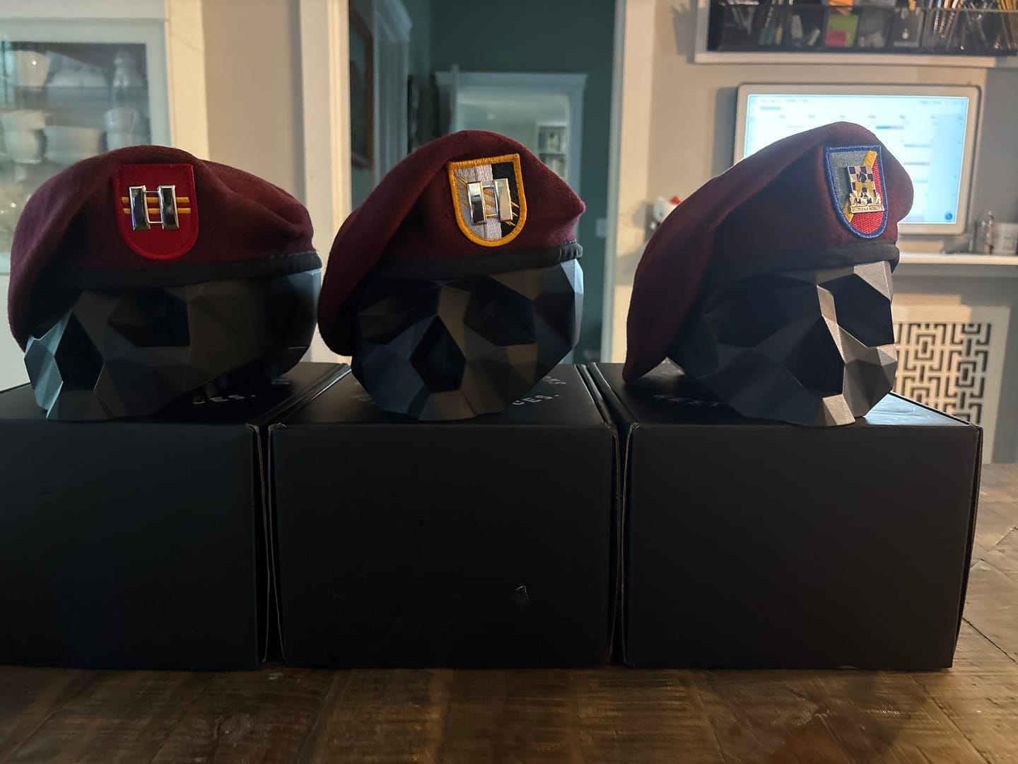 Customer photo review of Black Skull Stand