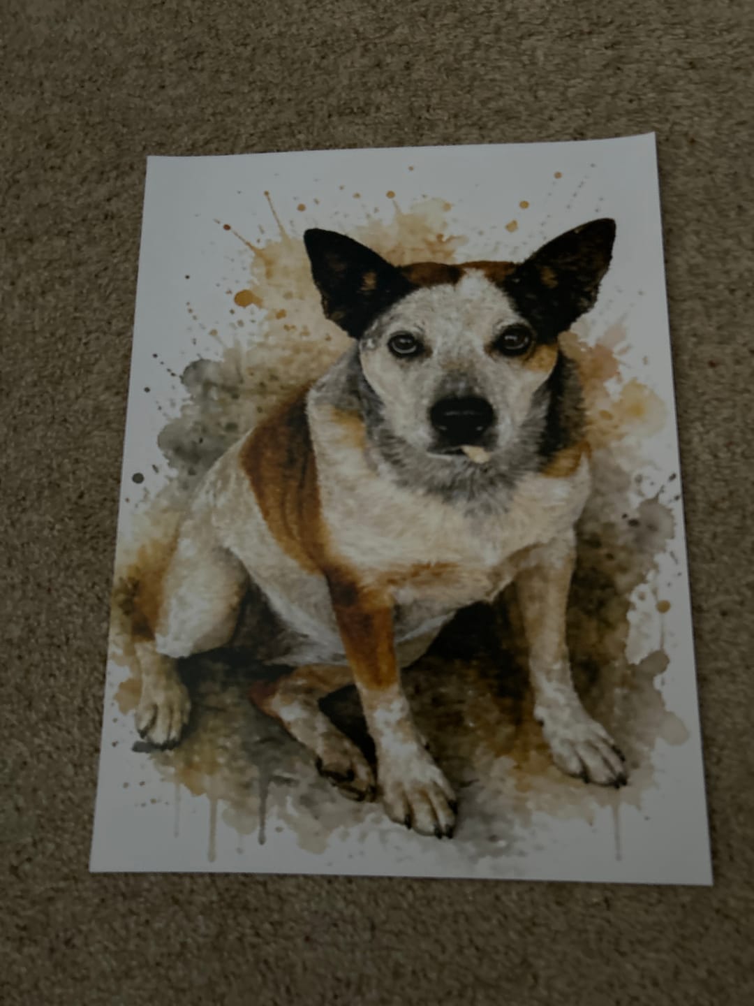 Customer photo review of Personalised Poster - Watercolour Realistic Portrait