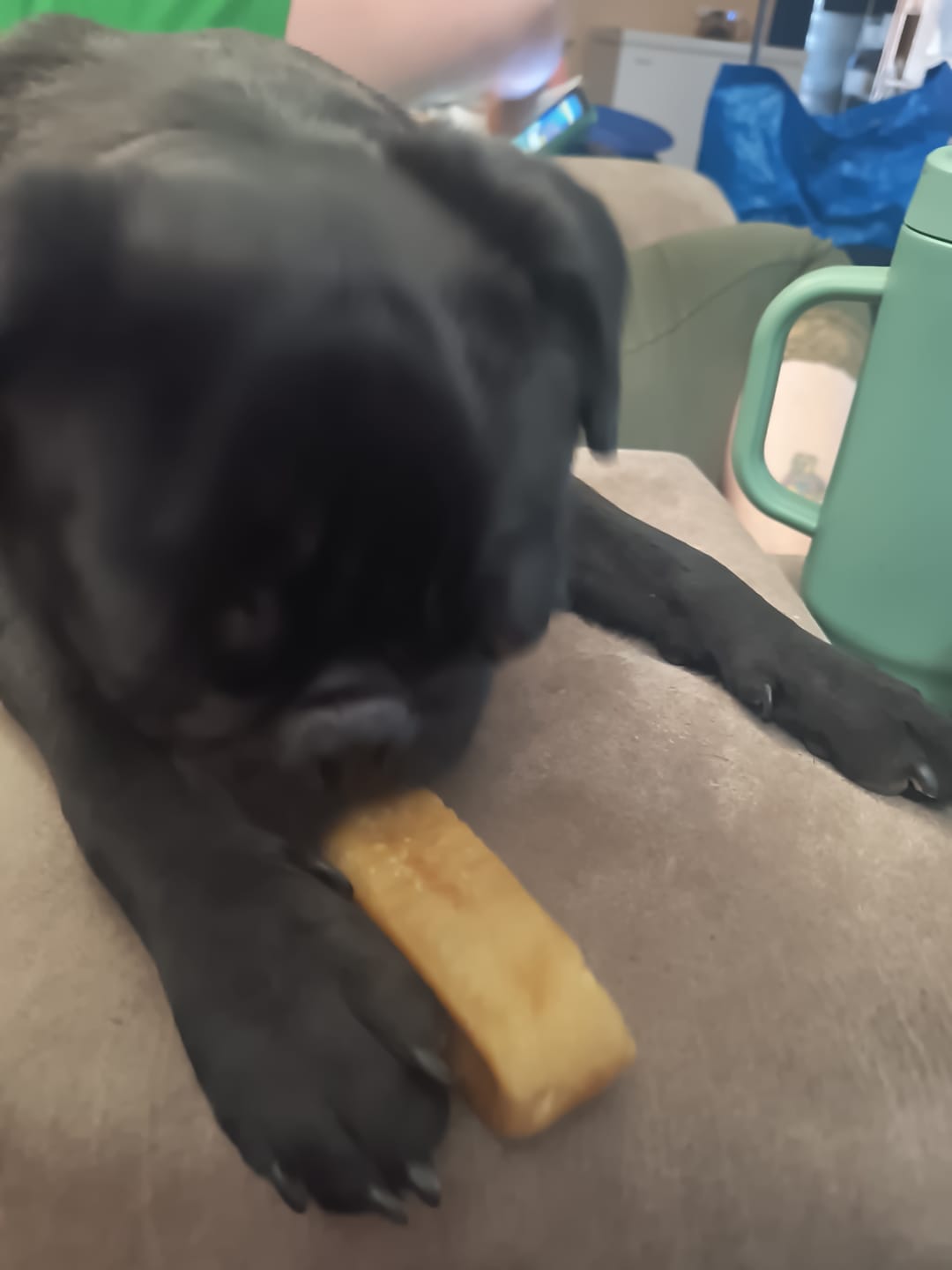 Customer photo review of Himalayan Yak Chews — All Sizes | Small to Giant Dogs