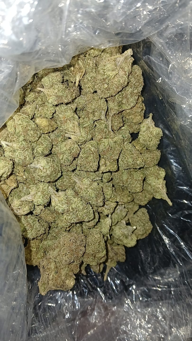Customer photo review of Lemon Cherry Gelato Mediums - Bulk Mediums - Hybrid