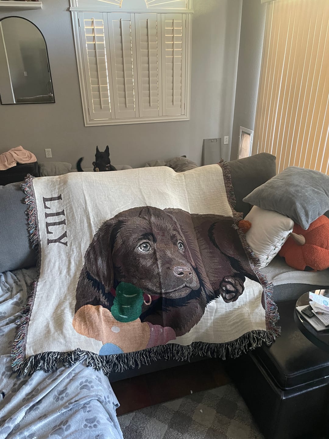 Customer photo review of Custom Heirloom Pet Throw Blanket