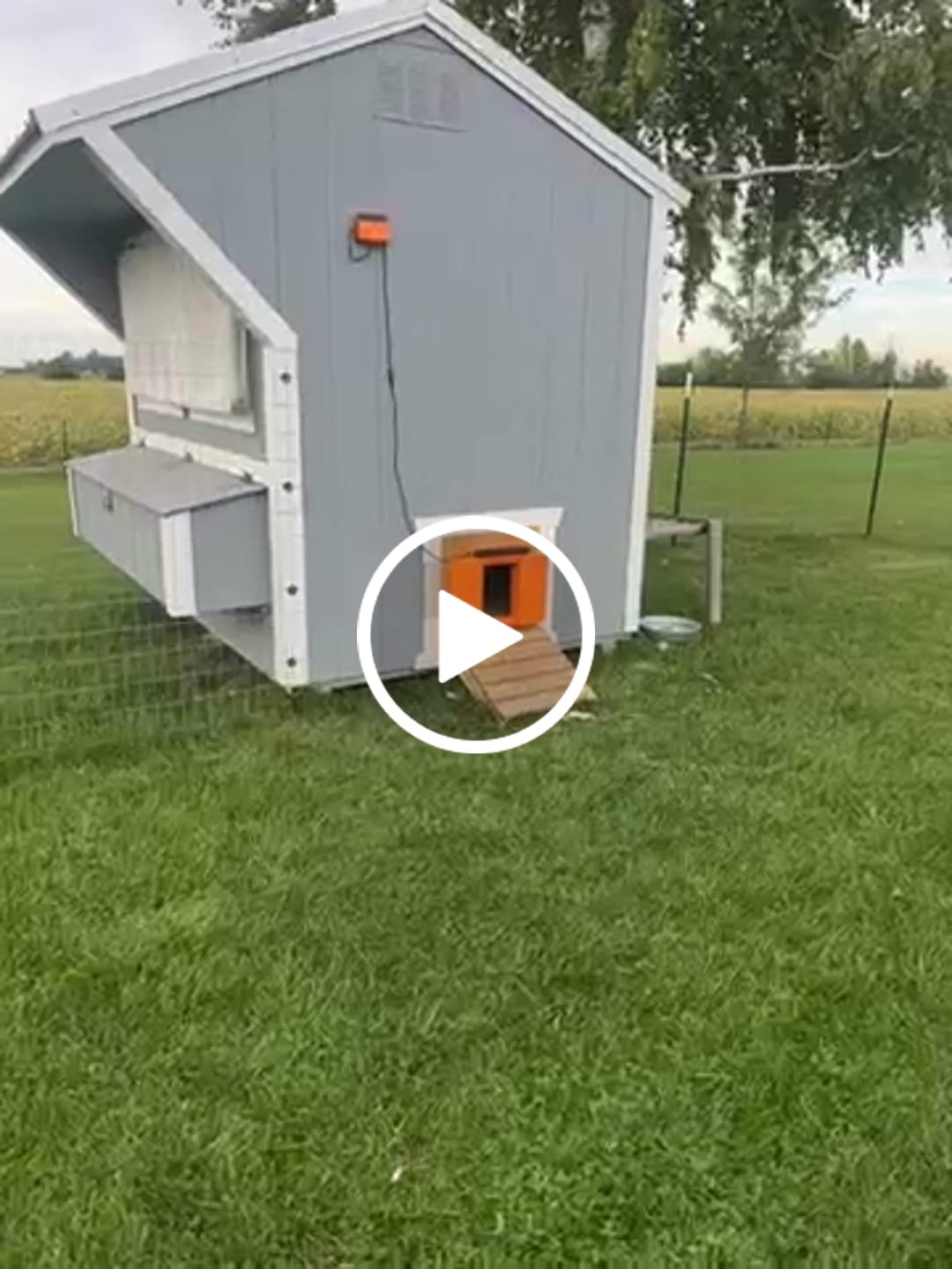 Customer video review of Solar Automatic Chicken Coop Door
