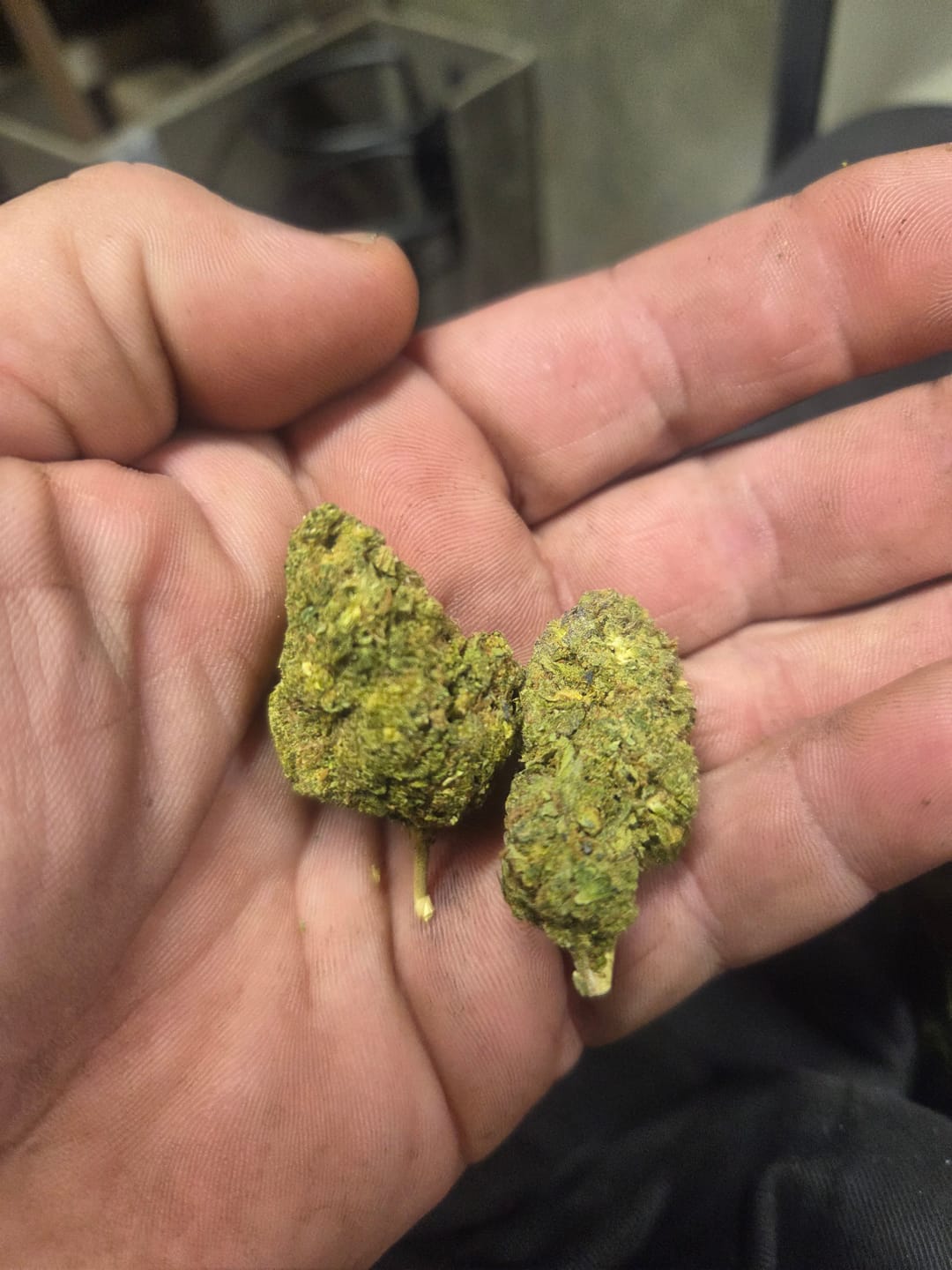 Customer photo review of Cheap THCA Smalls Ounce