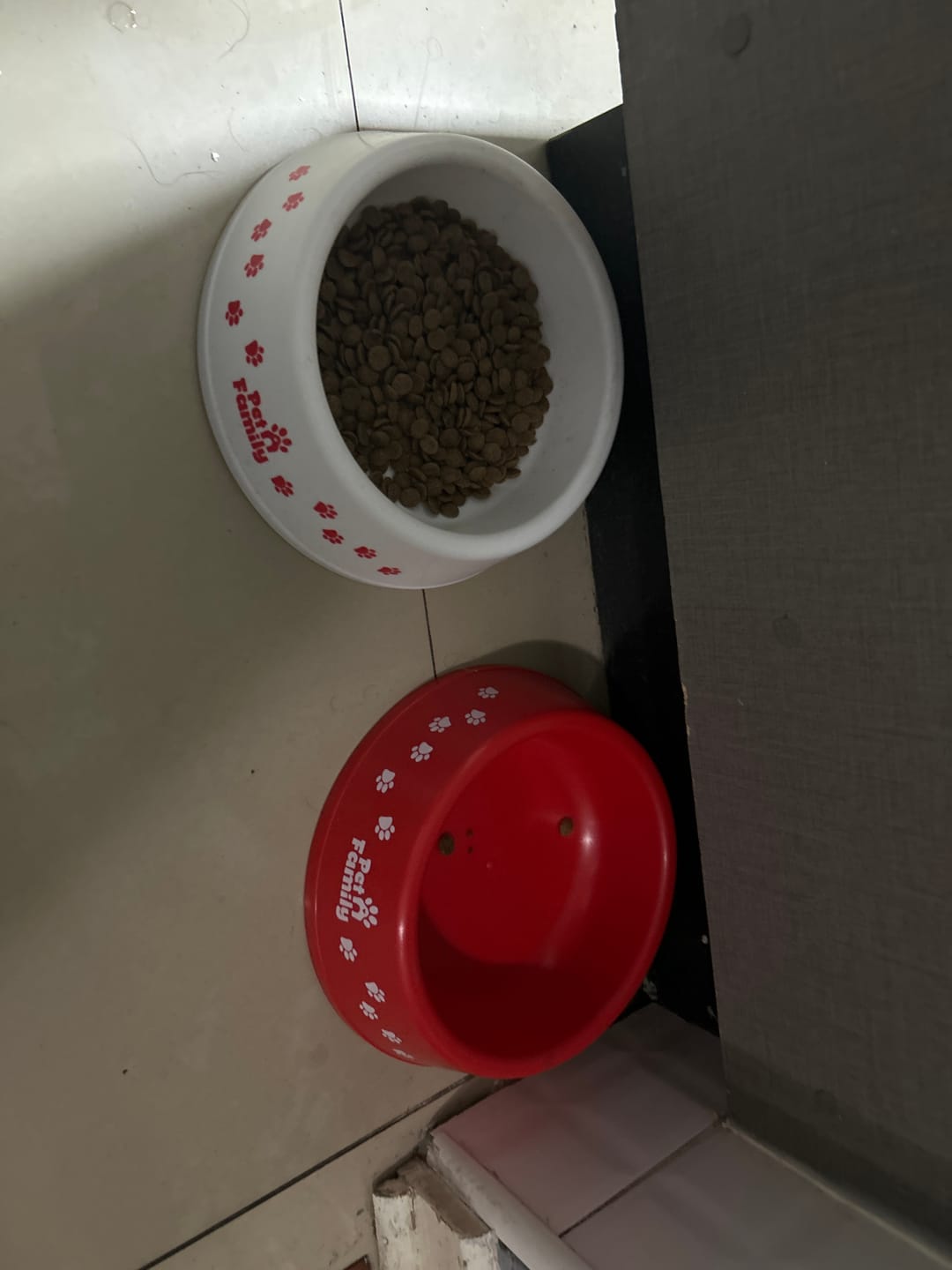 Customer photo review of Plato para Perros PetFamily
