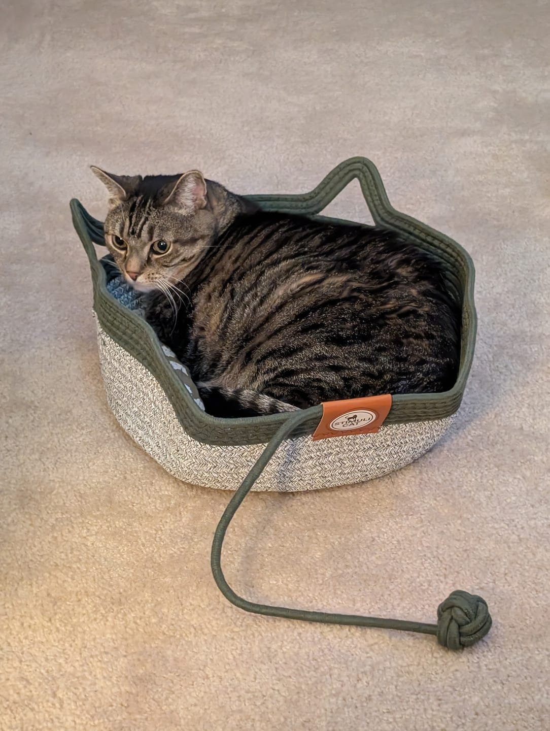 Customer photo review of Instinct Basket | Meet the first research-backed natural territory for indoor cats