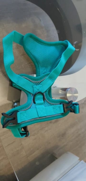 Customer photo review of Dog Harness For Small Dog French Bulldog Pug Pitbull Puppy Pectoral Collar