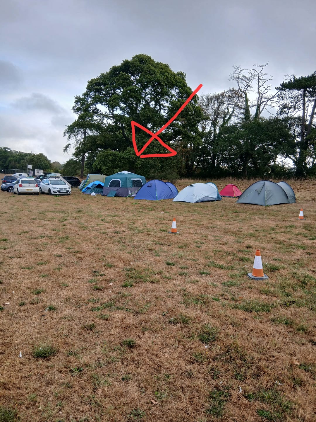 Customer photo review of 2-Step Cabin Tent