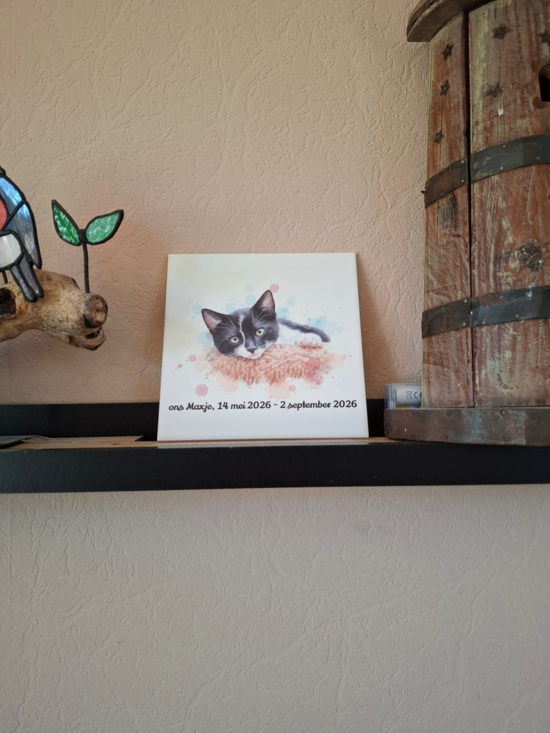 Customer photo review of Tegel met Gepersonaliseerd Huisdier Portret in Aquarelstijl