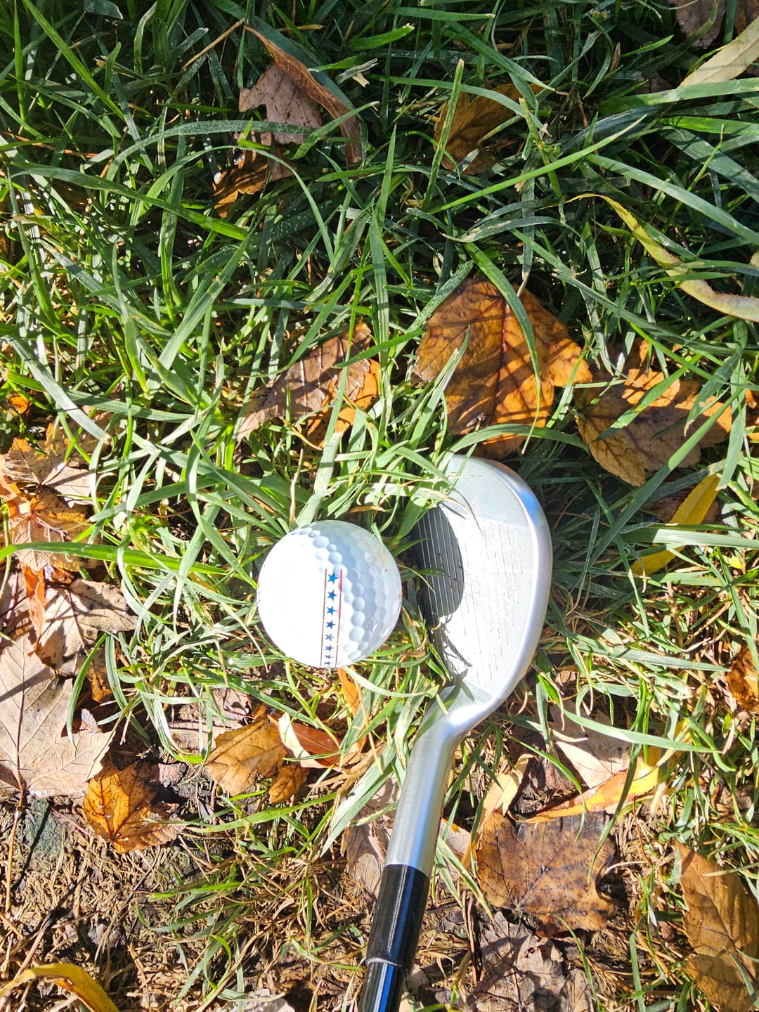 Customer photo review of Exotics Wingman Wedge